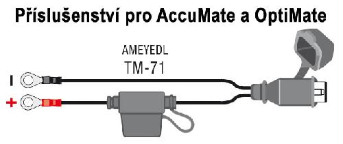 TM-71 AMEYEDL